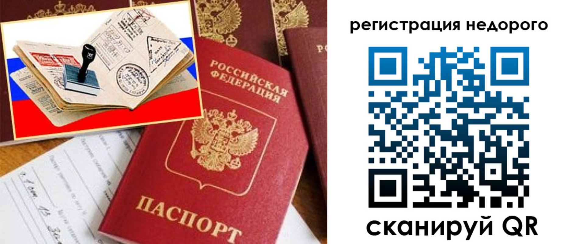 прописка иностранных граждан в Мончегорске